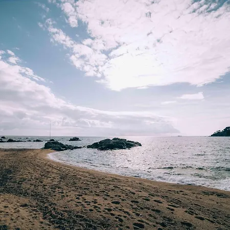 Apartment Reformado A 2 Minutos De La Playa En Calella!