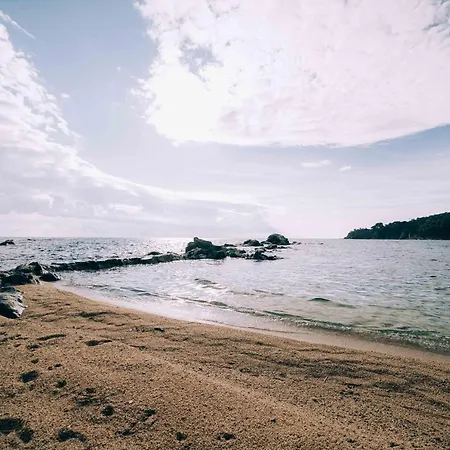 Apartment Reformado A 2 Minutos De La Playa En Calella!